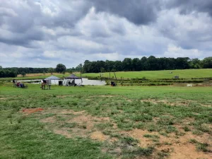 Red Hills Mississippi Hunt Test