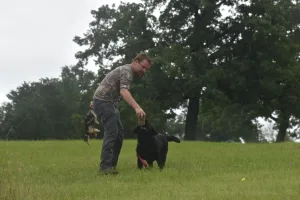 Heart of Texas 2026 Hunt Test Heart of Texas 2026 Hunt Test