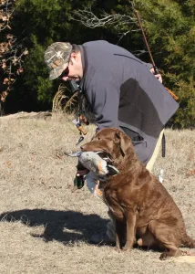 Fall Line Retriever Club GA Fall Line Retriever Club GA
