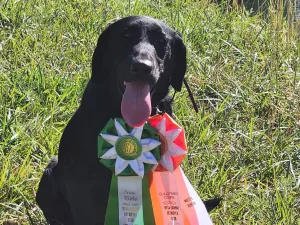 MGRCSC Spring 2026 Hunt Test