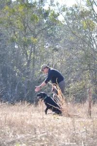 Wiregrass Hunting Retriever Club of Georgia (WHRCG)