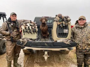 Arkansas AKC Hunt Test Ozarks Arkansas AKC Hunt Test Ozarks