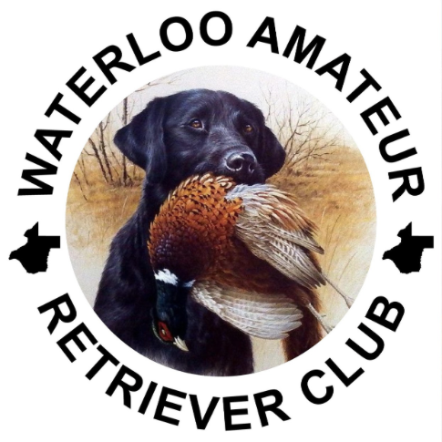 Waterloo Amateur Retriever Club TX