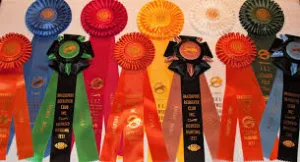 Brazosport Retriever Club (BRC)