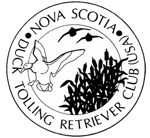 NSDTRC LOGO