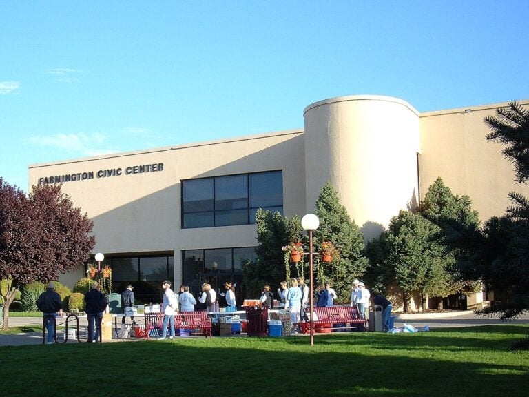 farmington akc dog show event 1 768x576