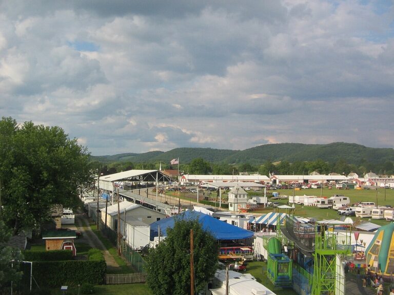hughesville akc dog show event 1 768x576