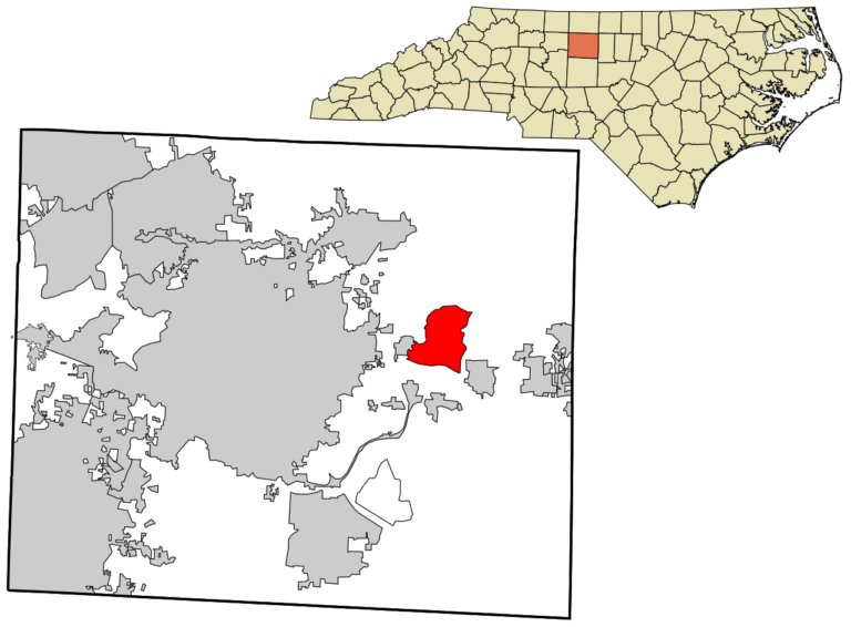 mcleansville dog show club 1 768x566