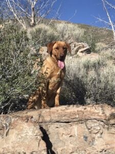 Moab 225x300