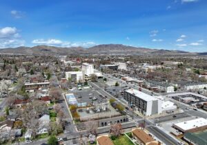 carson city dog show club 1 300x210