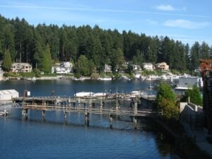 gig harbor dog show club 4 300x225