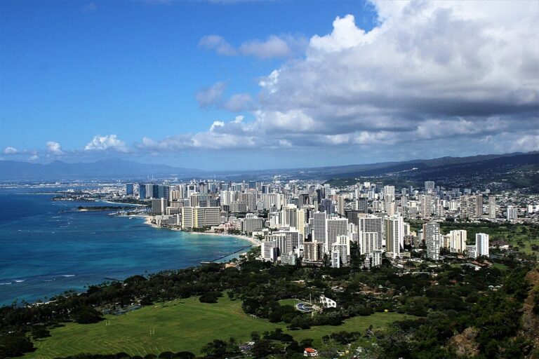honolulu akc dog show event 2 768x512