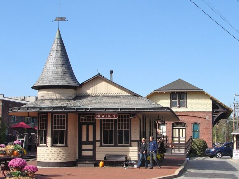 new hope dog show club 1 768x576
