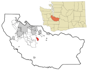 orting akc dog show event 1 300x237
