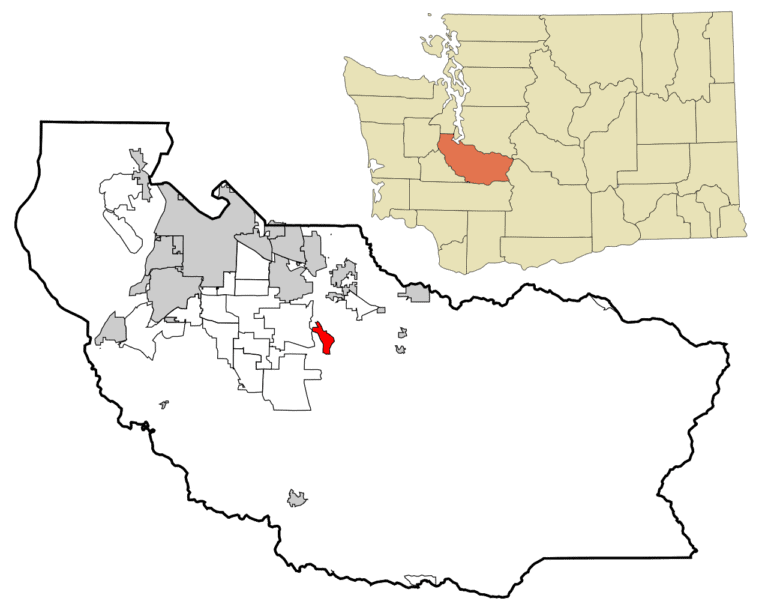 orting akc dog show event 1 768x607