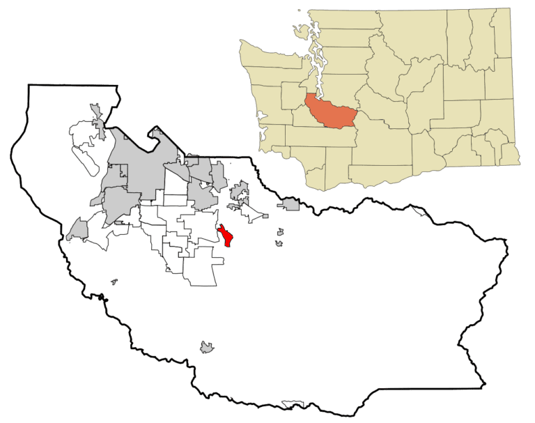 orting dog show club 1 768x607