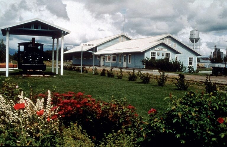 palmer dog show club 1 768x497