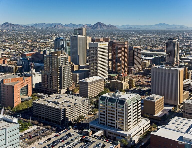 phoenix dog show club 1 768x593