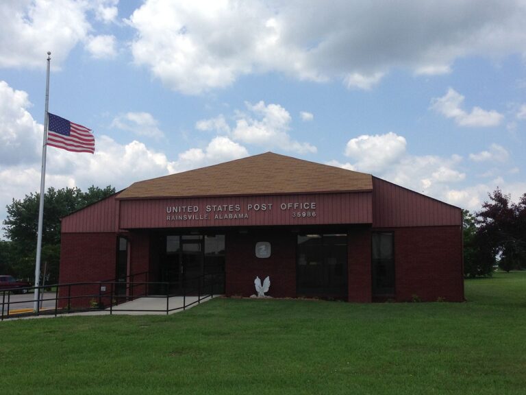 rainsville dog show club 1 768x576