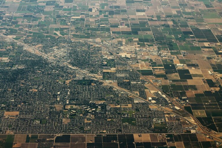turlock dog show club 1 768x512
