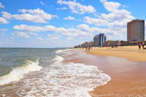 virginia beach dog show club 2 300x200
