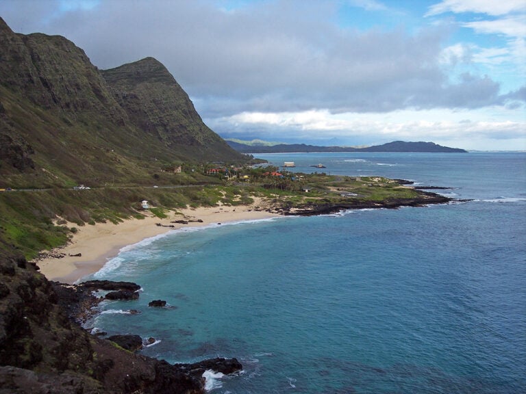 waimanalo dog show club 1 768x576