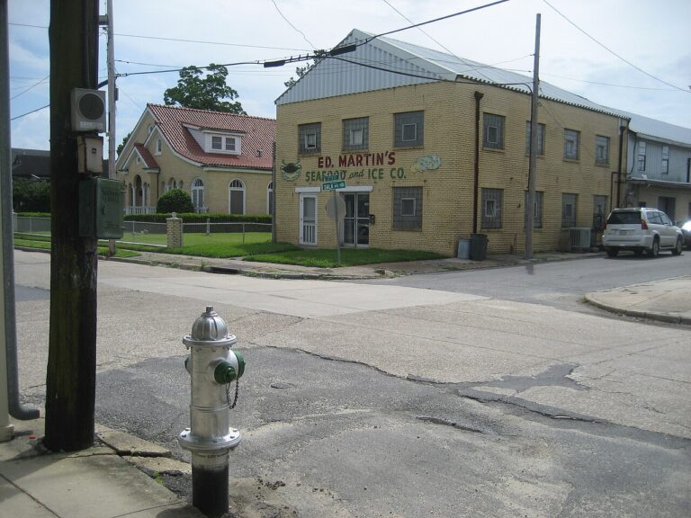 westwego dog show club 1 768x576