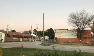 youngsville dog show club 1 300x180