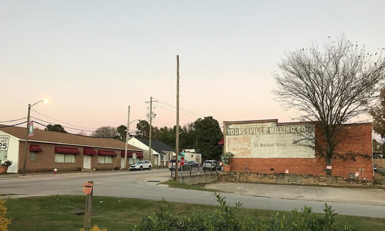 youngsville dog show club 1 768x460