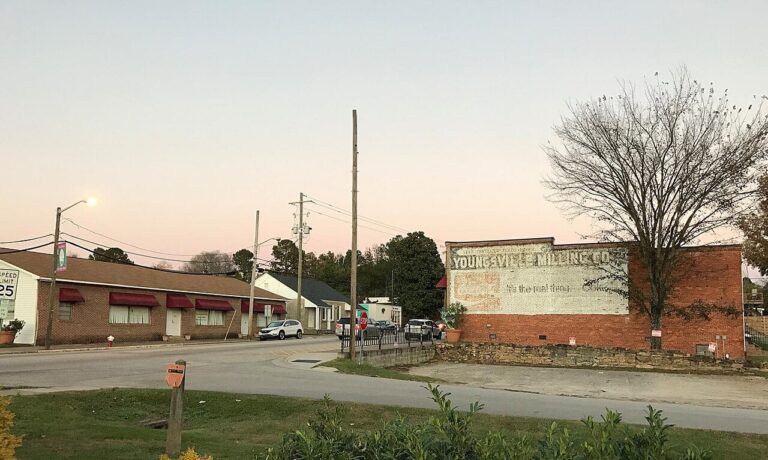 youngsville dog show club 3 768x460