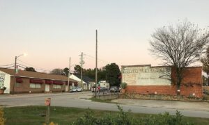 youngsville dog show club 4 300x180