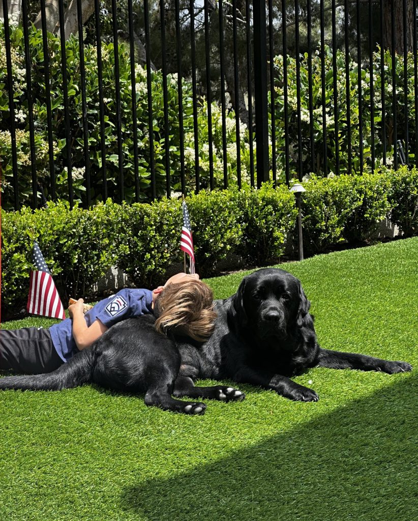 boy and his labrador