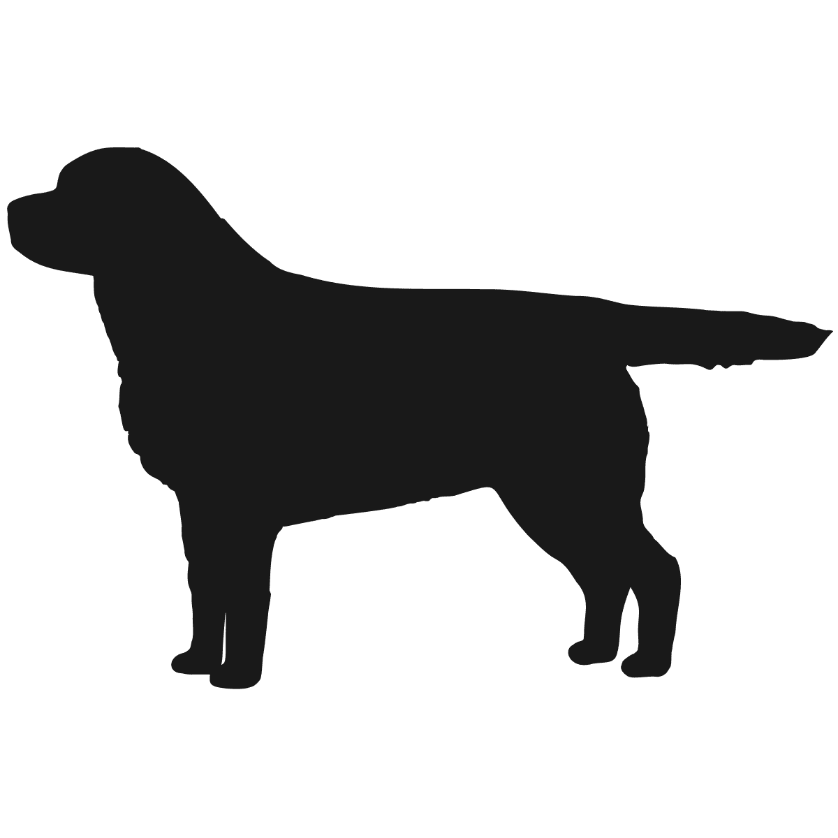 Silhouette