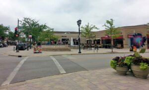 elmhurst akc dog show event 1 300x182