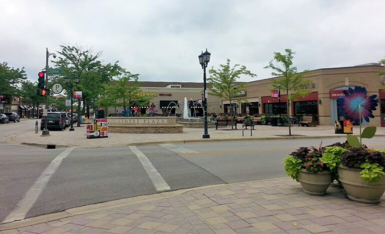 elmhurst akc dog show event 1 768x467