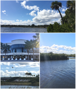 palm bay dog show club 1 258x300