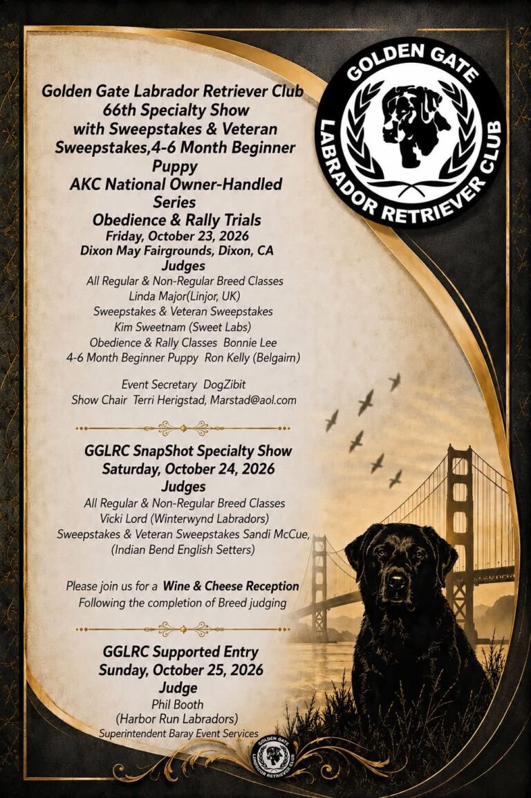 GGLRC Specialty Labrador